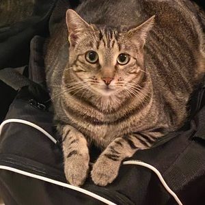 Meet your Posher, Alexsandra